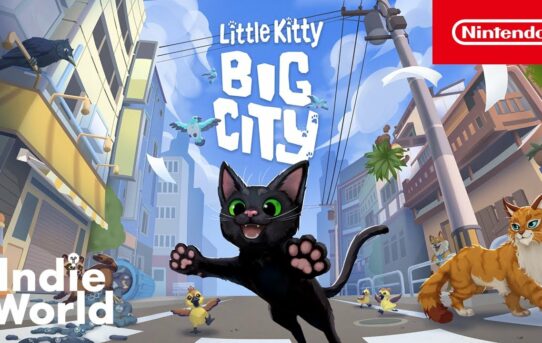 Little Kitty, Big City – Nintendo Switch