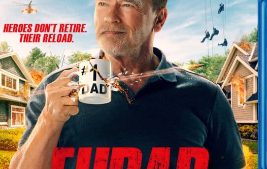 Netflix: Fubar