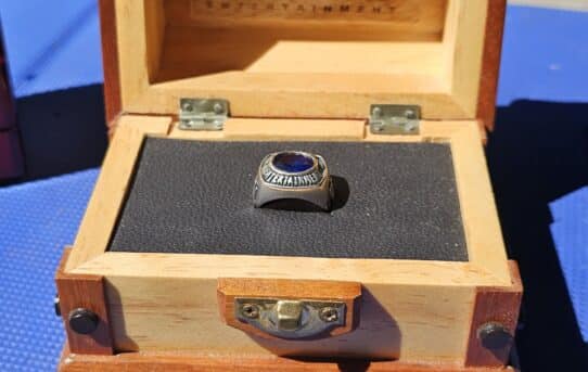 Blizzard Employee 15-year Anniversary ring, deep dive